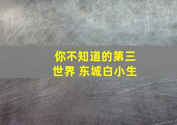 你不知道的第三世界 东城白小生